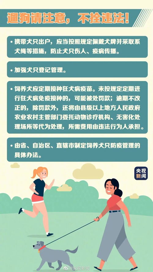 小狗轻伤怎么处理才妥当？万一涉及他人责任又该如何应对？