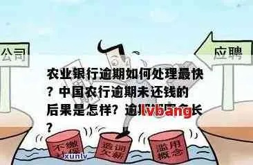 农行逾期在哪里看？逾期了怎么办？资深律师教你从容应对