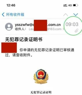犯罪记录怎么查？一查吓一跳，这些坑你千万别踩！