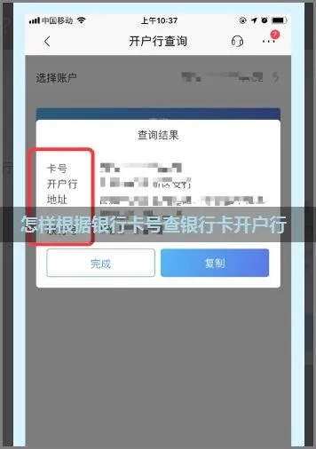 开户行行号怎么查？一招教你快速搞定，别再瞎折腾了！