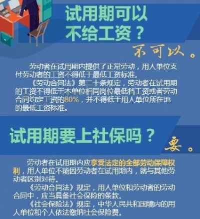 试用期交不交社保？别让权益悄悄溜走！