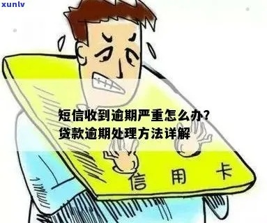 贷款逾期提示短信来了怎么办？别慌，先搞懂这三件事！