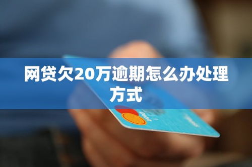 网贷逾期哪里查？逾期后果如何应对？