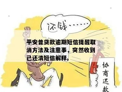 平安普惠贷款逾期短信频频轰炸？别慌，搞懂这几点才能不踩坑！