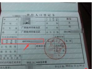 户籍代码怎么查？一查就露馅？别慌，手把手教你合法合规查信息！
