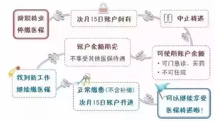 医保怎么交？自己缴还是单位缴？断缴了怎么办？一文说清所有细节！