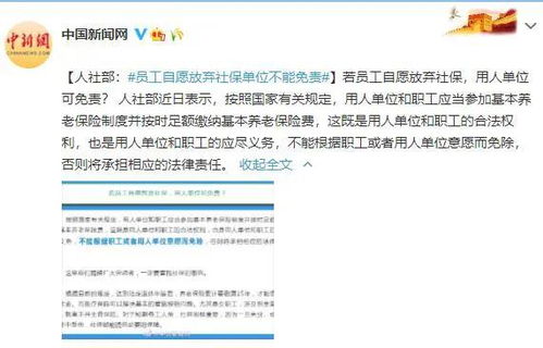 不交社保违法吗？企业主必知的风险指南！