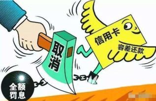 信用卡突然被降额？别慌！手把手教你如何合法维权、有效起诉银行