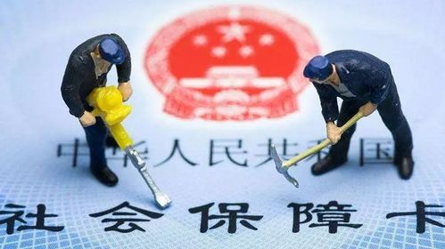 公司不交社保违法吗？员工该如何维权？
