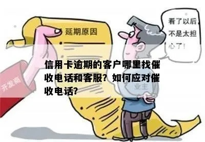 分付逾期催收哪里电话？逾期后如何应对催收？