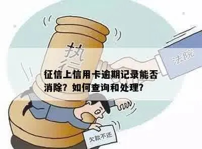征信逾期哪里查询？逾期记录怎么补救？
