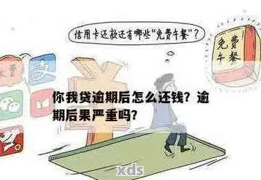 贷款哪里看当前逾期？逾期了怎么办？