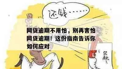 短信说你贷款逾期了？别慌！3步自救指南+1个关键动作，90%的人都忽略了