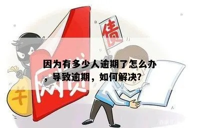 逾期了要去哪里还？突然逾期了怎么办？