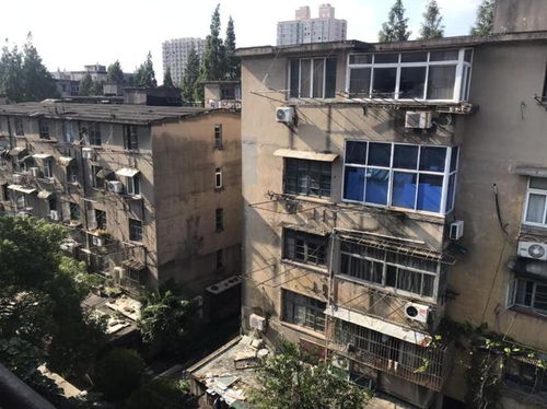 违建房子被盯上了怎么办？拆还是留？一文说清处理全攻略