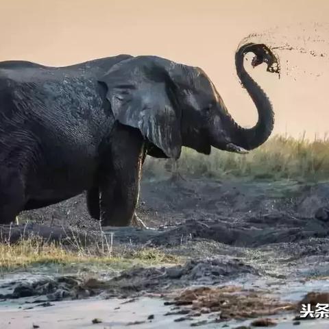 落地签怎么办理？说走就走的旅行真能落地成行吗？