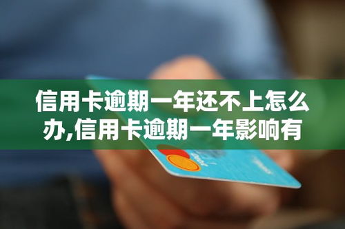 贷记卡逾期在哪里看到？逾期了怎么办？