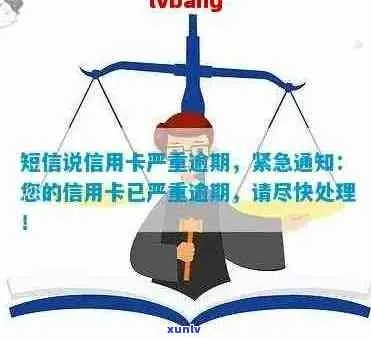 收到贷款逾期短信别慌！教你三步化解危机，避免征信爆雷