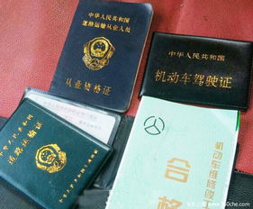 营业执照怎么贷款？手把手教你避开坑，轻松拿钱！