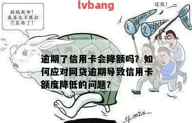 信用卡突然被降额？别慌！三步教你应对并反向提额