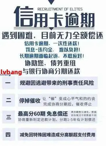 逾期了哪里能借一万？律师教你避坑指南