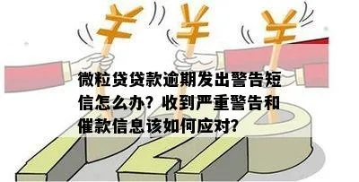 收到严控贷款逾期短信别慌！是警告还是误伤？教你三步自救