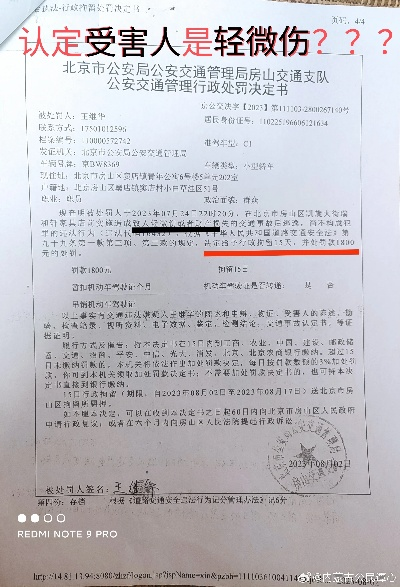 鉴定为轻伤，对方会有什么责任？我该怎么应对？