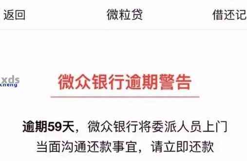逾期还款要从哪里查看？逾期后如何补救？