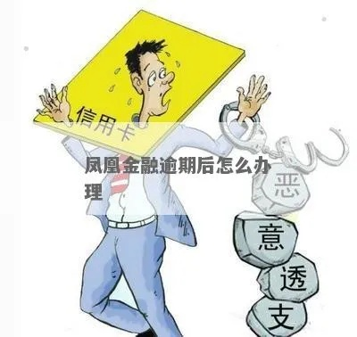 凤凰金融逾期了怎么办？维权指南全解析