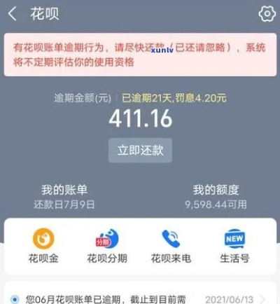 花呗逾期了别慌！哪里查询逾期记录？律师教你应对策略