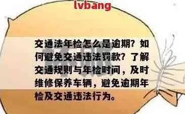 年检逾期罚款哪里交？别慌，律师教你轻松应对！
