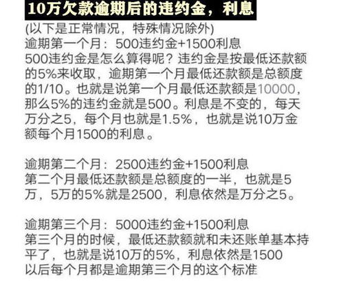 上海逾期罚款哪里交？逾期了怎么办？