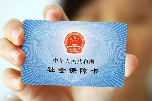 社保记录怎么查？查不到怎么办？一文说清所有门道！