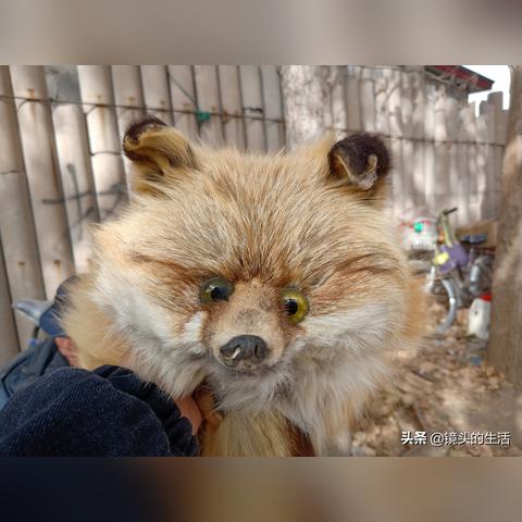 耳朵受伤了，咋判断是不是轻伤？鉴定流程是啥？