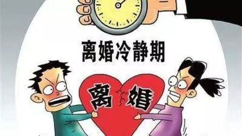 离婚后多久会后悔？后悔了该怎么办？