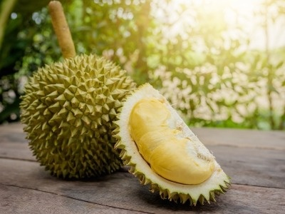 轻伤不下火线怎么看？榴莲怎么品？