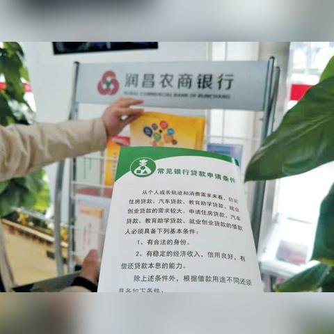 逾期黑户哪里能借钱？如何安全借贷避免陷阱