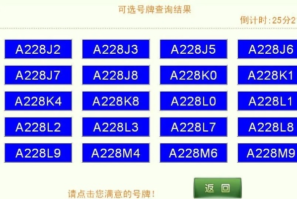 车牌选得好，办事少烦恼！不同号牌类型怎么填？一文讲透别踩坑