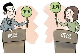 起诉离婚后多久能离婚？诉讼期间要注意什么？