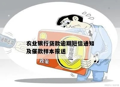 农行贷款严重逾期收到短信通知？别慌，先搞清这三件事！