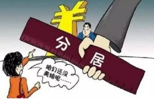 离婚后分居多久再生孩子？法律风险与情感智慧的抉择