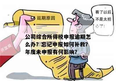 从哪里查询逾期申报？逾期申报了如何补救？