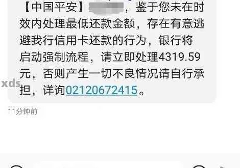 收到贷款逾期短信却从未申请？遭遇身份冒用怎么办？