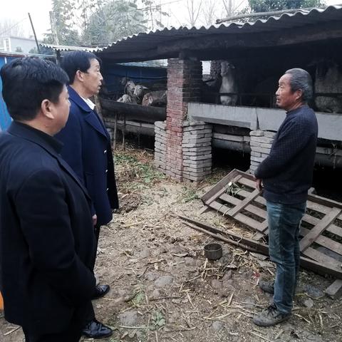 逾期后哪里还能贷款？紧急应对策略全解析