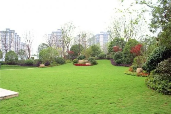 绿地面积怎么算？开发商说的绿到底是不是真绿？