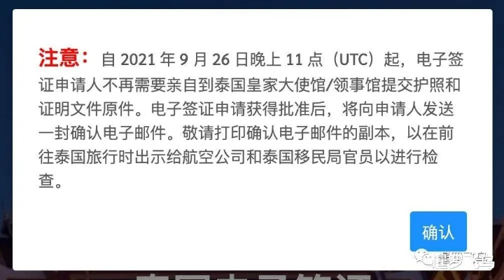 电子签证怎么办理？流程卡壳了咋办？手把手教你避坑通关！