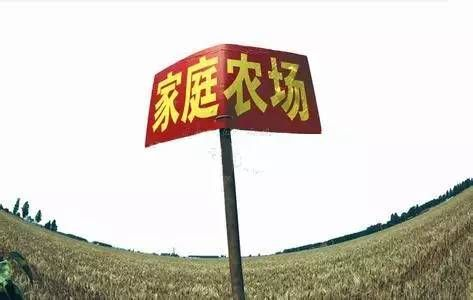 家庭农场怎么申请？手把手教你避开踩坑雷区，轻松拿证！