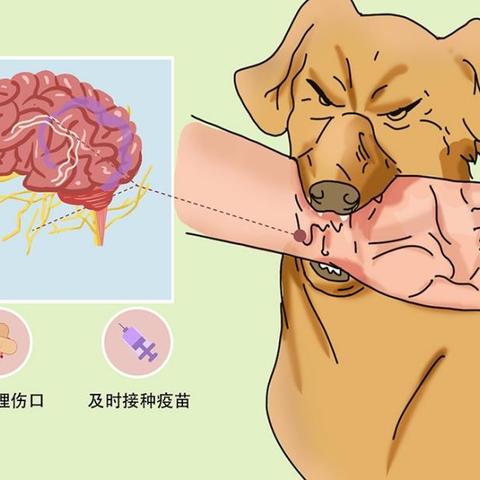 鉴定为轻伤后，接下来该咋办？流程怎么走？