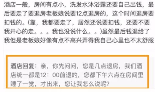 个税逾期了怎么办？没逾期在哪里查？专业律师教你轻松应对