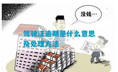 驾照逾期了怎么办？哪里查驾照逾期？